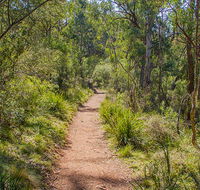 Mares Forest Creek walking track - Melbourne Tourism