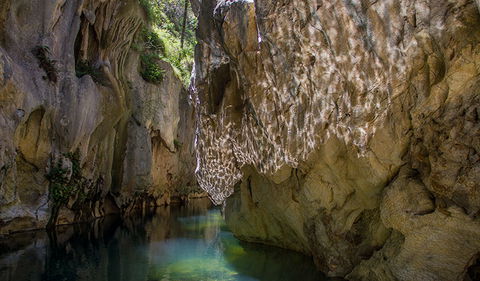 Mares Forest Creek Walking Track - Melbourne Tourism 2
