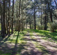 Wombeyan Waterfall walking track - Melbourne Tourism