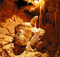 Fig Tree Cave - Melbourne Tourism