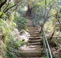 Nature track - Melbourne Tourism