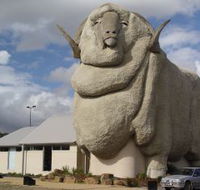 Big Merino - Melbourne Tourism