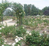 Victoria Park Rose Garden - Melbourne Tourism