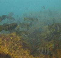 Bunurong Marine and Coastal Park - Melbourne Tourism