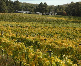 Lark Hill Biodynamic Winery - Melbourne Tourism 2
