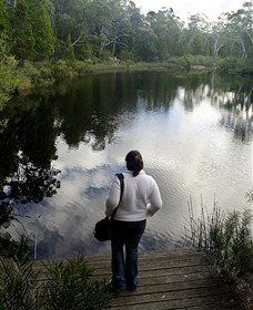 Boonoo Boonoo Falls National Park - Melbourne Tourism 1
