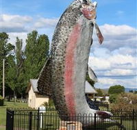 Big Trout - Melbourne Tourism