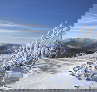 Rock Creek snowshoe track - Melbourne Tourism