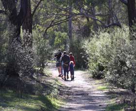 Walyunga National Park WA Melbourne Tourism