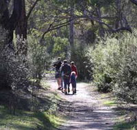 Syd's Rapids and Aboriginal Heritage Trail Avon Valley - Melbourne Tourism
