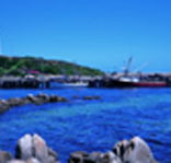 King Island Dairies - Melbourne Tourism