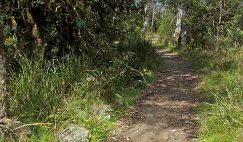 Devils Hole Lookout Walk And Picnic Area - Melbourne Tourism 2