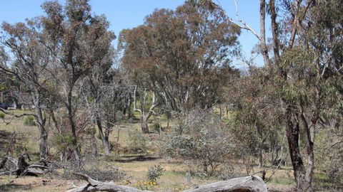 Remembrance Nature Park - Melbourne Tourism 2