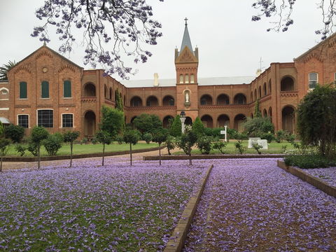 Sacred Spaces At The Sisters Of Mercy Convent - Melbourne Tourism 12