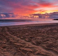 Mon Repos Beach - Melbourne Tourism