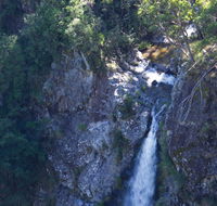 Lyrebird Falls walking track - Melbourne Tourism