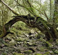 Mitchell River Walking Track - Melbourne Tourism