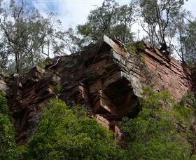 Mitchell River Walking Track - Melbourne Tourism 2