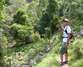 Mitchell River Walking Track - Melbourne Tourism 1