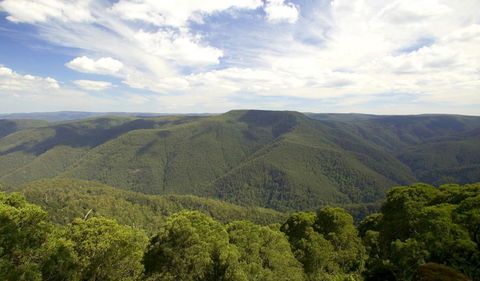 Barrington Tops National Park - Melbourne Tourism 0