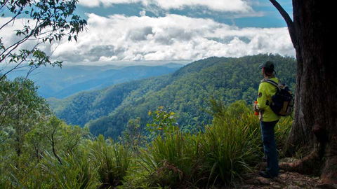 Barrington Tops National Park - Melbourne Tourism 3