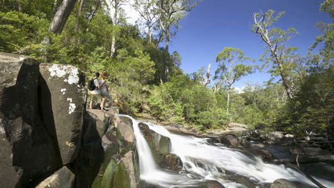 Barrington Tops National Park - Melbourne Tourism 2
