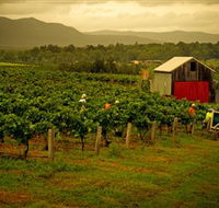 Around Hermitage Wine and Food Trail Hunter Valley - Melbourne Tourism