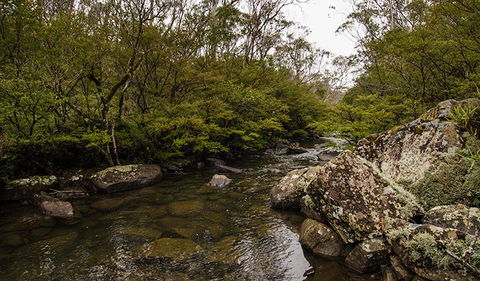 River Walking Track - Melbourne Tourism 0