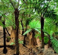 Pegarah Private Nature Reserve  Parenna Place - Melbourne Tourism