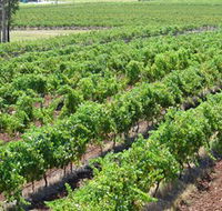 Pokolbin Brothers Wines Hunter Valley - Melbourne Tourism