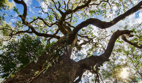 Woko National Park - Melbourne Tourism 1