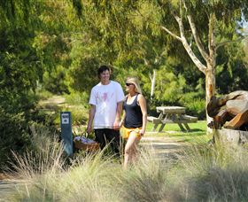 Sale Common Wetlands Walk - Melbourne Tourism 0