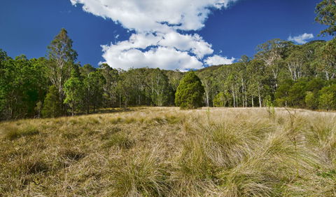 Brush Turkey Track - Melbourne Tourism 1