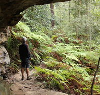 Dharug National Park - Melbourne Tourism