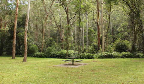 Dharug National Park - Melbourne Tourism 3