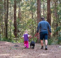 Olney State Forest - Watagan Mountains - Melbourne Tourism