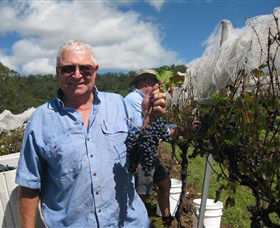 Razorback Ridge Wines - Melbourne Tourism 8