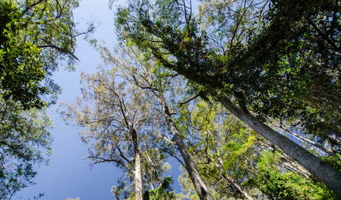 Hidden Treasure Track - Melbourne Tourism 3
