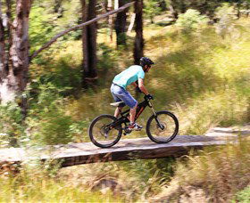 The Steps Mountain Bike Park - Melbourne Tourism 0