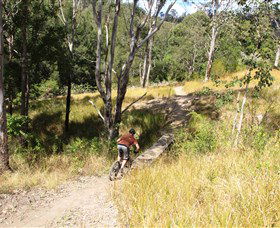 The Steps Mountain Bike Park - Melbourne Tourism 2