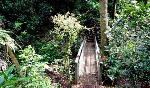 Richmond Range National Park - Melbourne Tourism 0