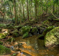 Palm Grove Nature Reserve - Melbourne Tourism