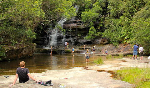 Somersby Falls Picnic Area - Melbourne Tourism 0