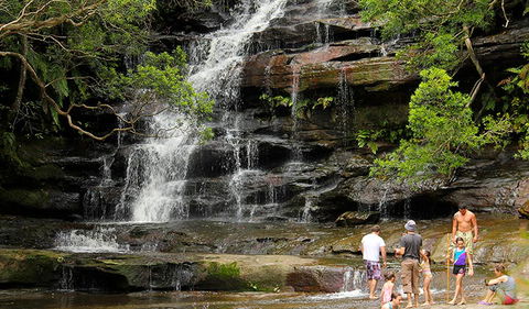Somersby Falls Picnic Area - Melbourne Tourism 2