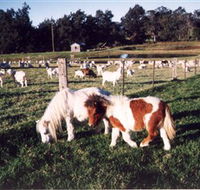 Trudgalong Farm - Melbourne Tourism