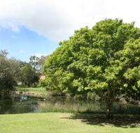 Hervey Bay Botanic Gardens - Melbourne Tourism
