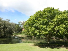 Hervey Bay Botanic Gardens - Melbourne Tourism 0