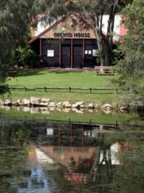 Hervey Bay Botanic Gardens - Melbourne Tourism 1