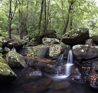 Kangaroo River - Melbourne Tourism