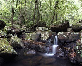 Kangaroo River - Melbourne Tourism 0